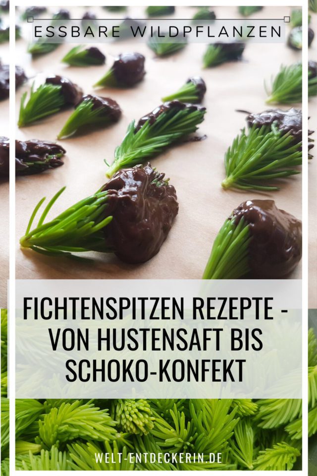 Fichtenspitzengelee